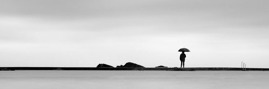 Roy Fraser banner