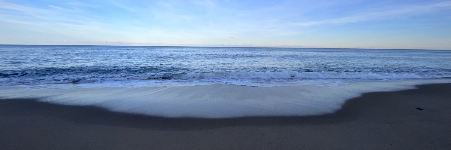 Christina Koch, MSW banner