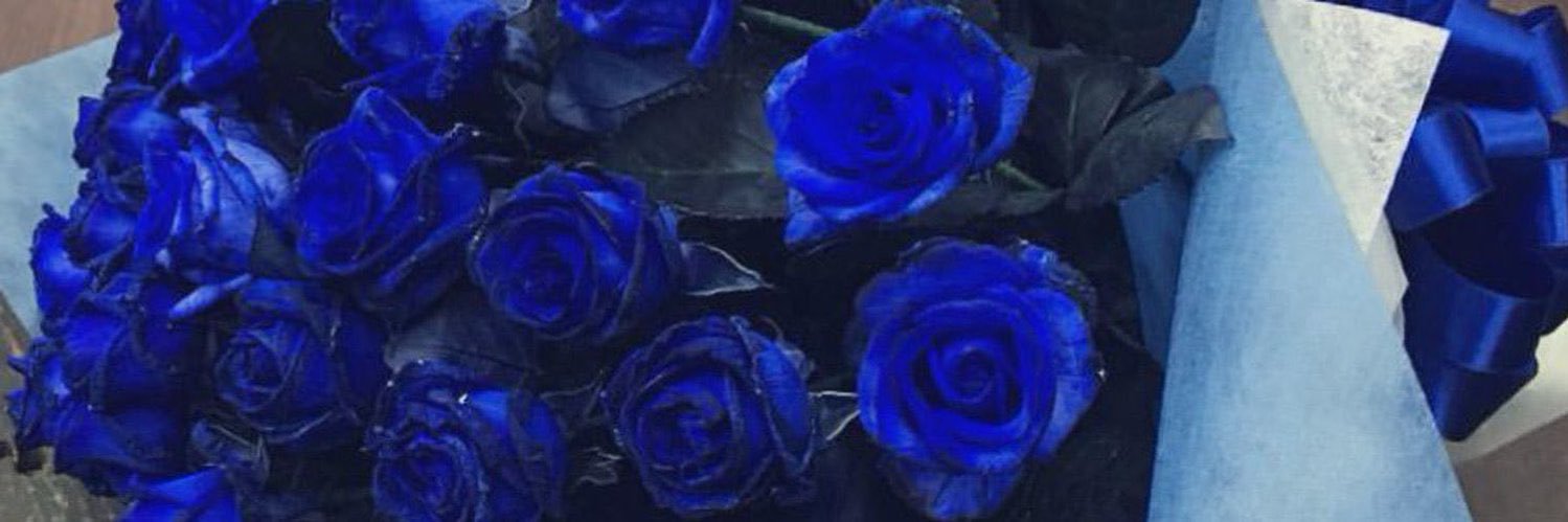EuroIine's profile banner image