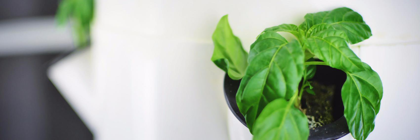 TowerGardenCDN's profile banner image