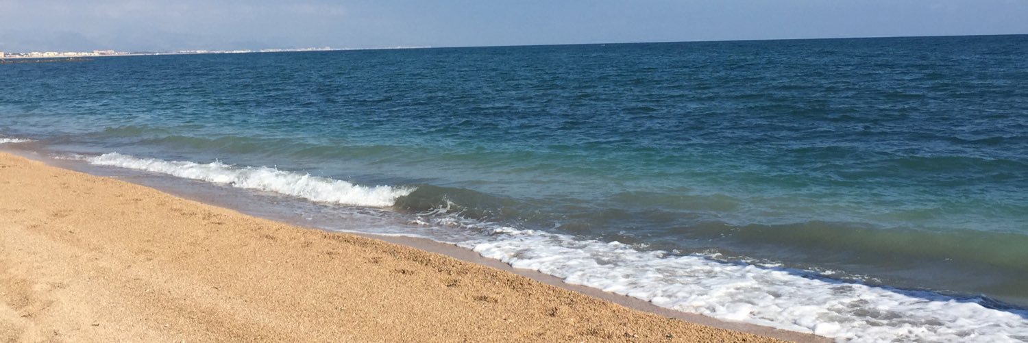 bernalsanchis's profile banner image