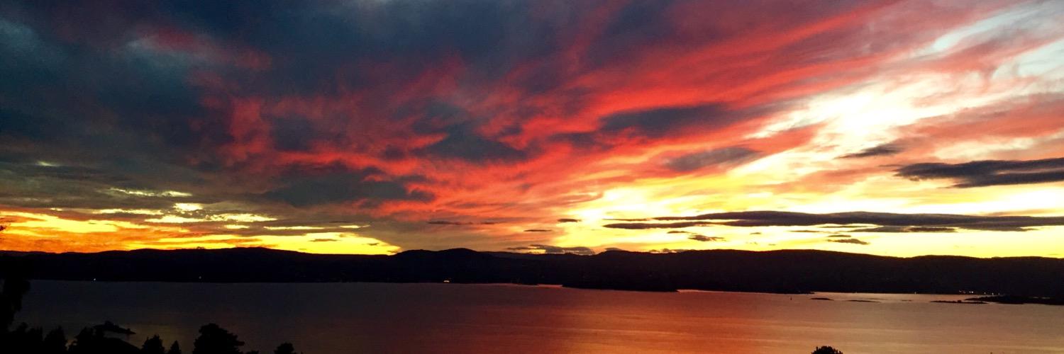 Stein Vegusdal banner