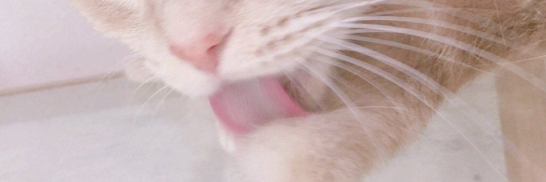 PURIN_20's profile banner image