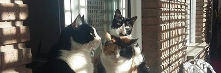 Lolamm222's profile banner image