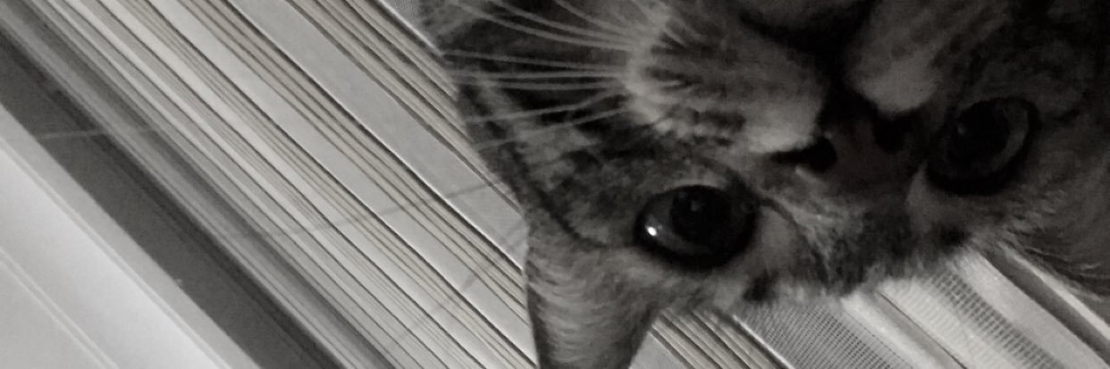 sdebbd's profile banner image