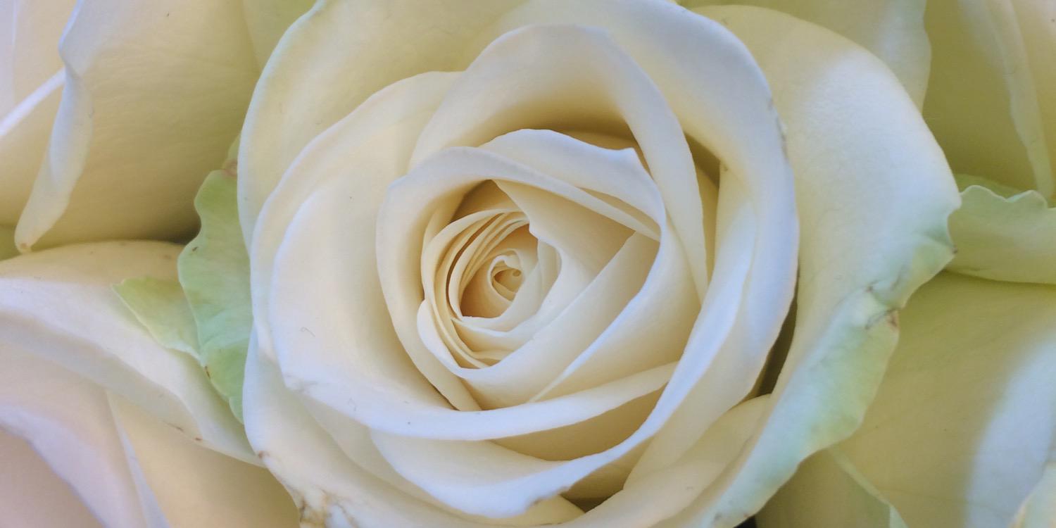 JuliaStambor's profile banner image