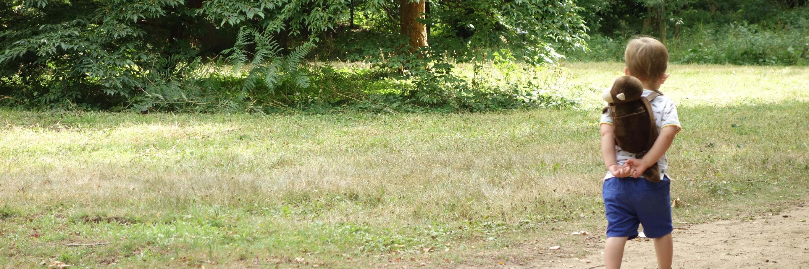 PeterBJ79's profile banner image