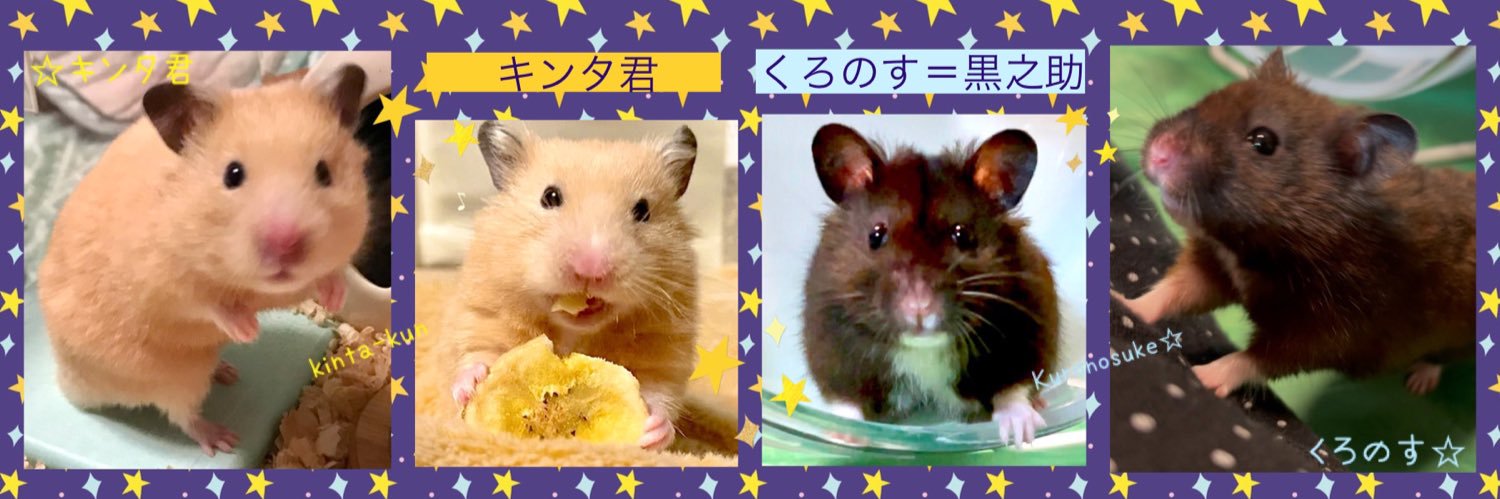 盈月 banner