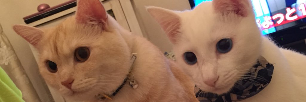 jillkun0728's profile banner image