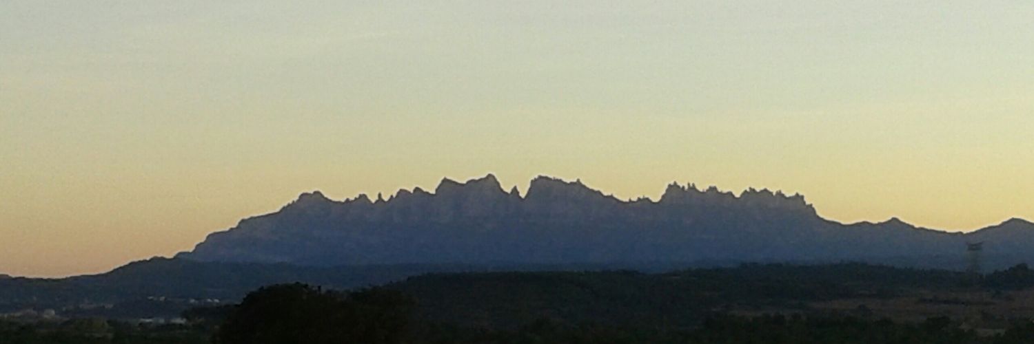 Xavier Biosca banner