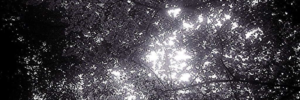 _lukassakul's profile banner image