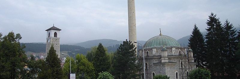 Rifat Fejzic's banner