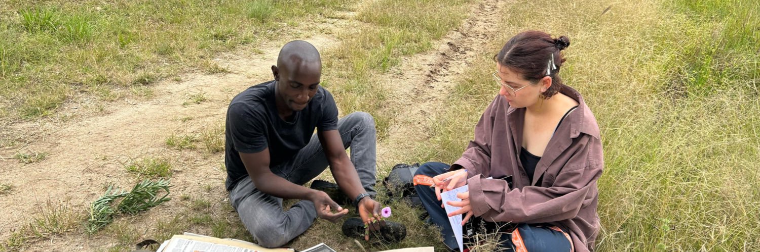 Marie Declercq banner