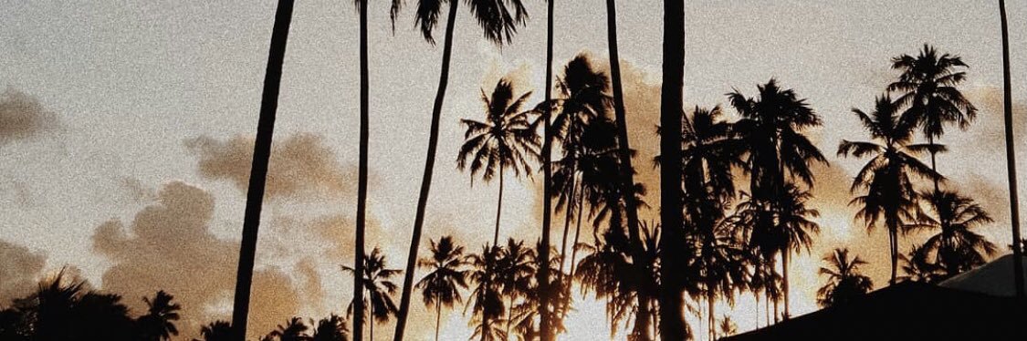 CaMicister's profile banner image