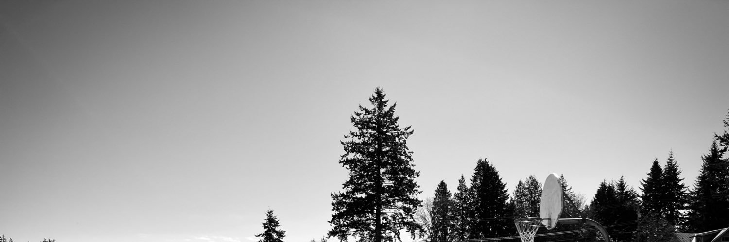 Lou Feller banner