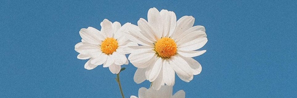 khareesm's profile banner image