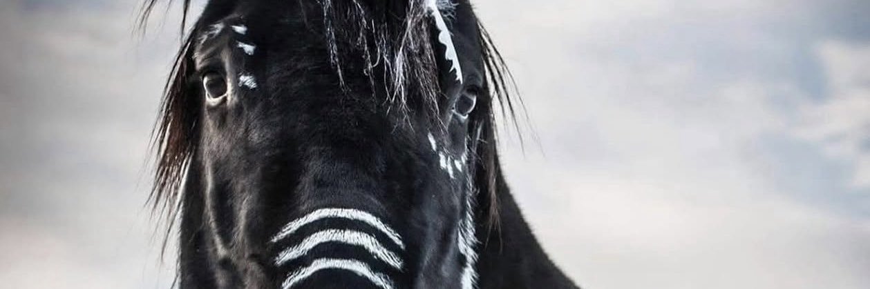 mobringssplenty's profile banner image