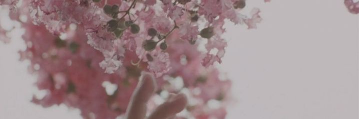 rukolulu's profile banner image