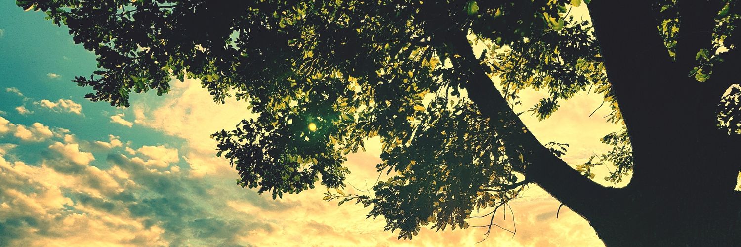 lupu273's profile banner image