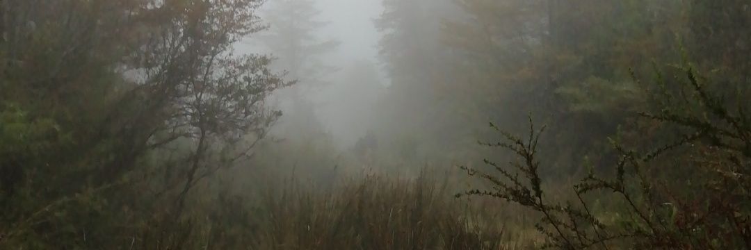 J0rxua's profile banner image