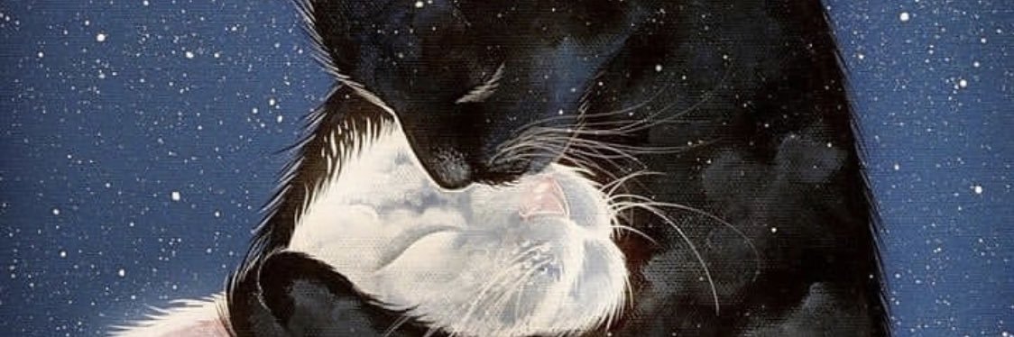 Felinoux's profile banner image