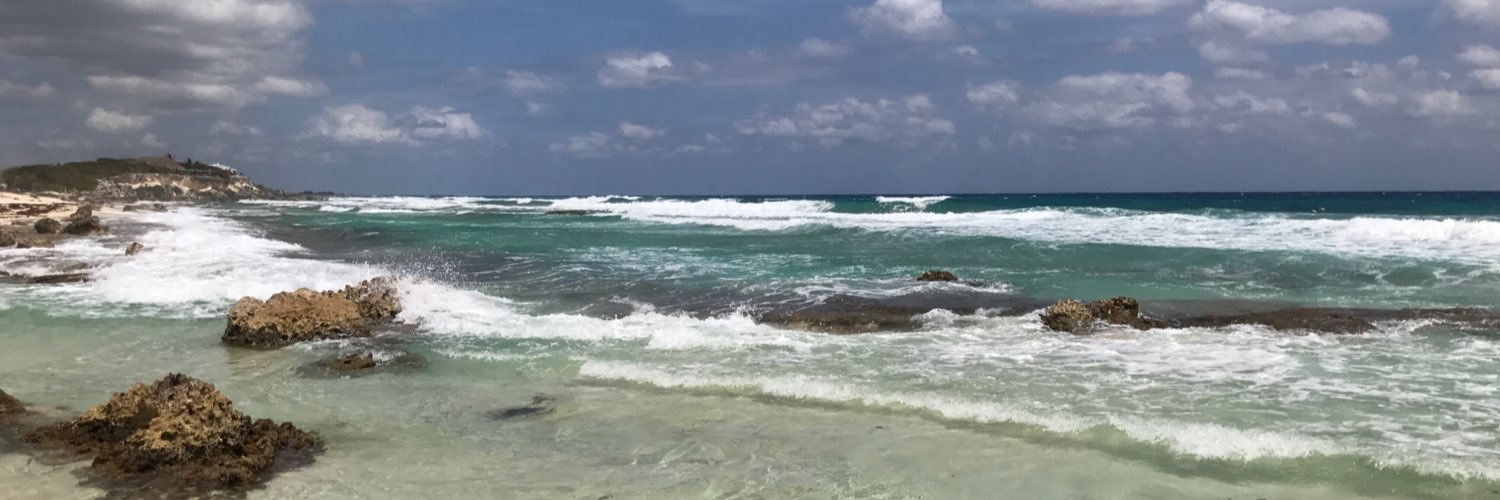 michellenolley's profile banner image