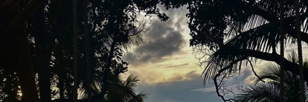 jds0506's profile banner image