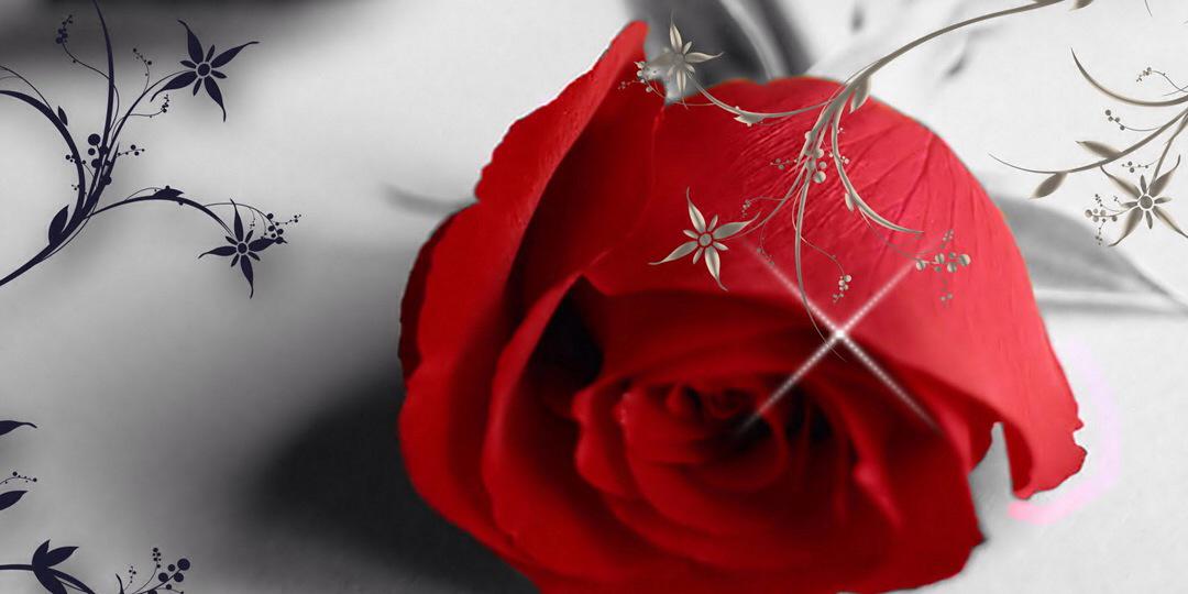 PirateKrissy's profile banner image