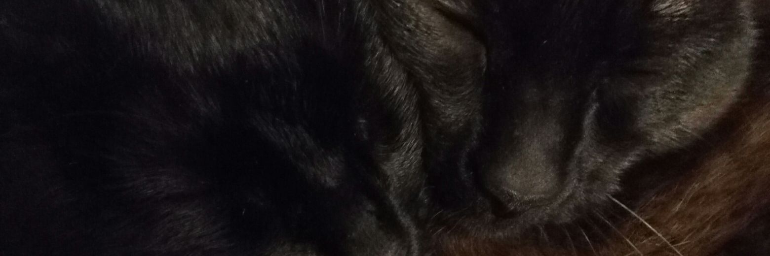 MryOfficial's profile banner image