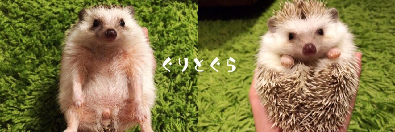 grisgra61's profile banner image