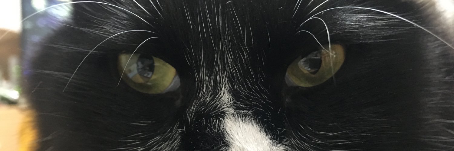 panpaaa_su's profile banner image