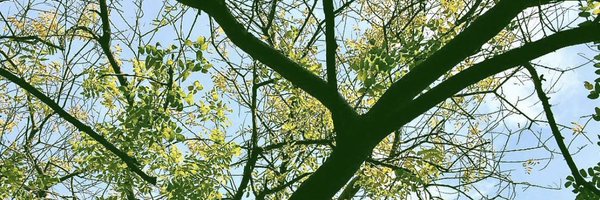 abaimel Profile Banner