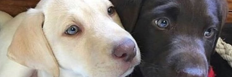 muny3991's profile banner image