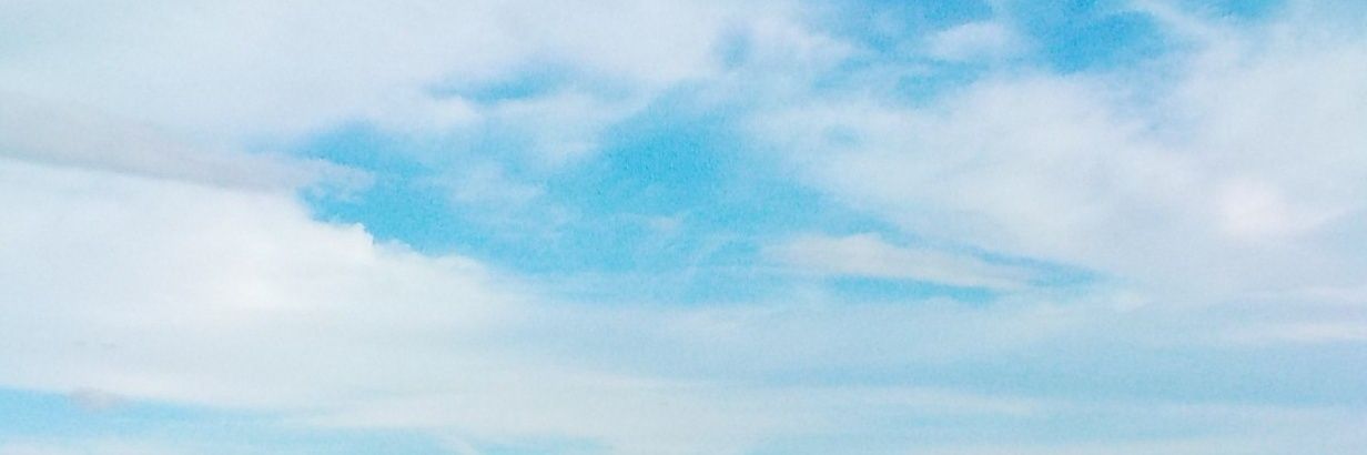 mispicsaiko's profile banner image
