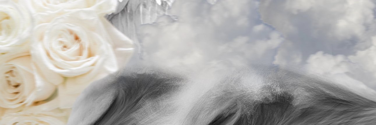 samdellaaa's profile banner image