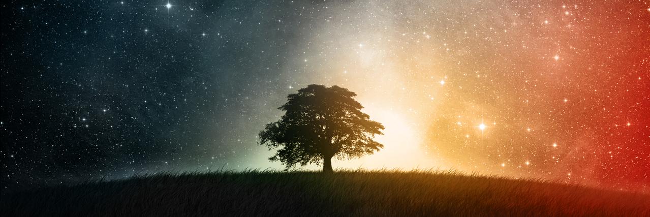 Vishaka Chetram banner