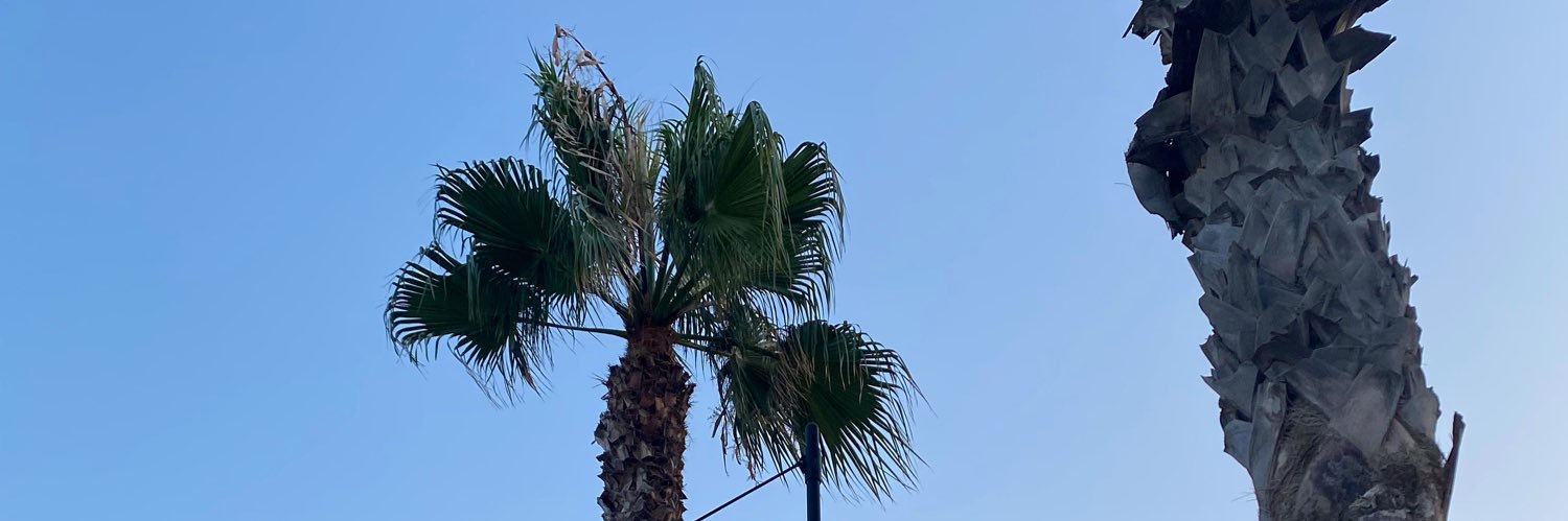 katimallon's profile banner image