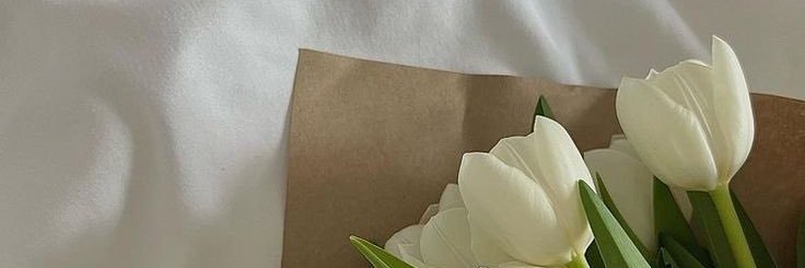 d banner
