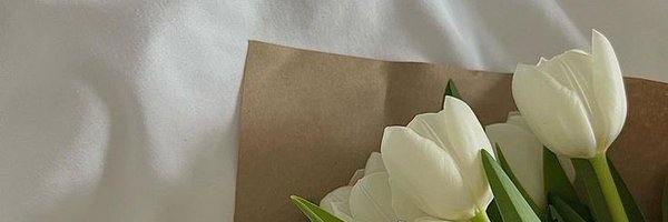 dayyyann Profile Banner