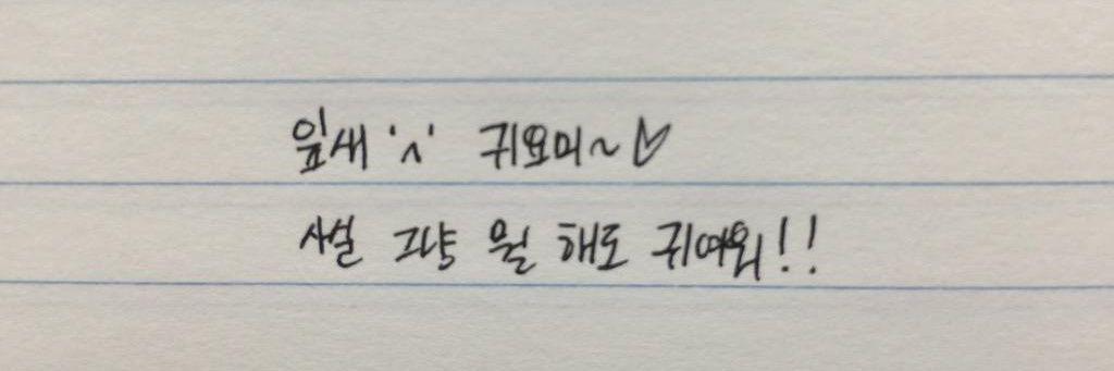 Kim_leaves's profile banner image