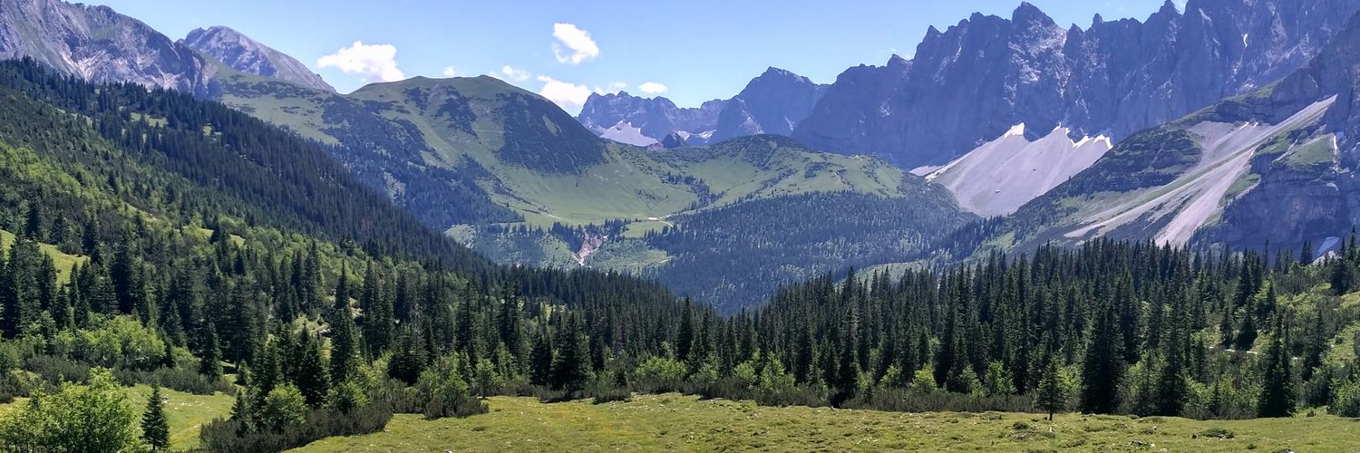 AlexXelara's profile banner image