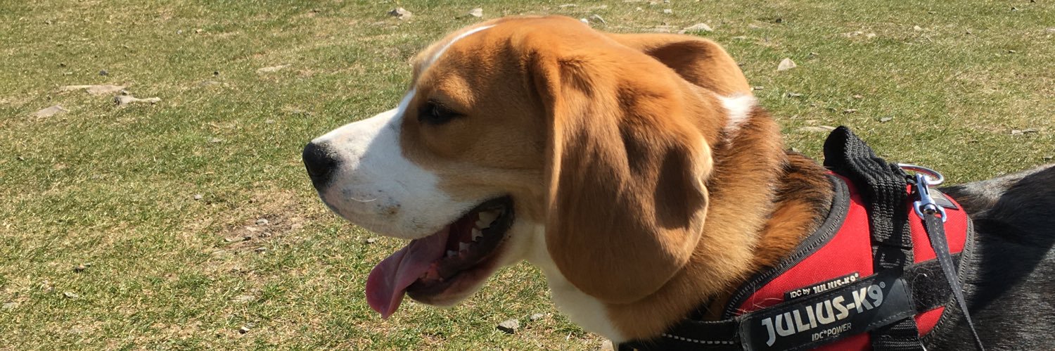 Stephen Clarke banner