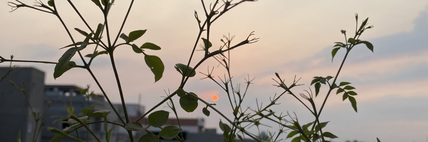 FatenYakoub's profile banner image