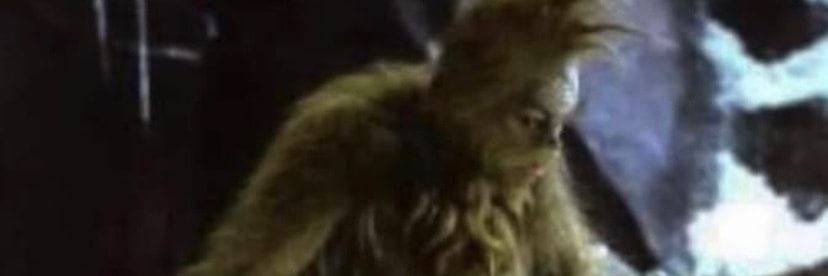 FloridaManWoW's profile banner image