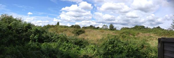 thall10000 Profile Banner