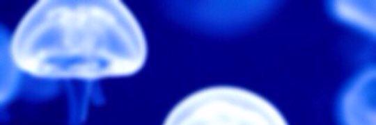 bc_krg's profile banner image