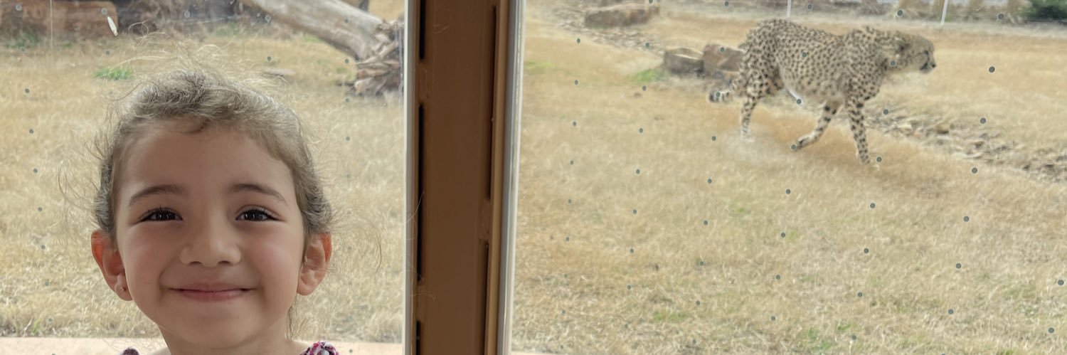 •Will Adams•©️ banner