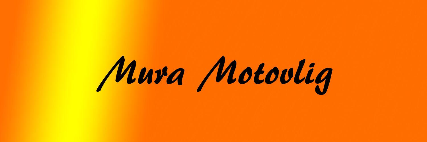 MMotovlog's profile banner image