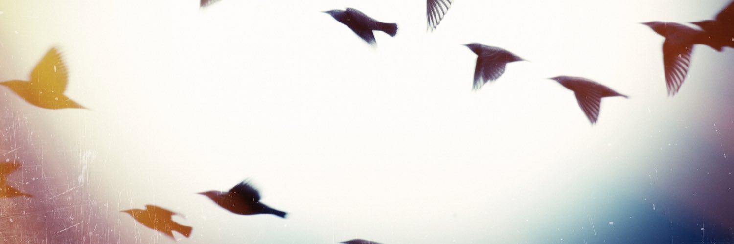 Will de Burca banner