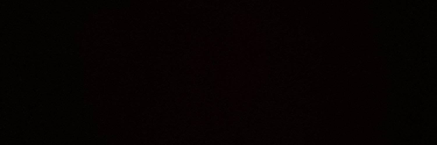 inesitainesf's profile banner image